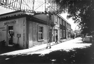 Calle arbolada fotografiada en blanco y negro con edificios de baja altura.